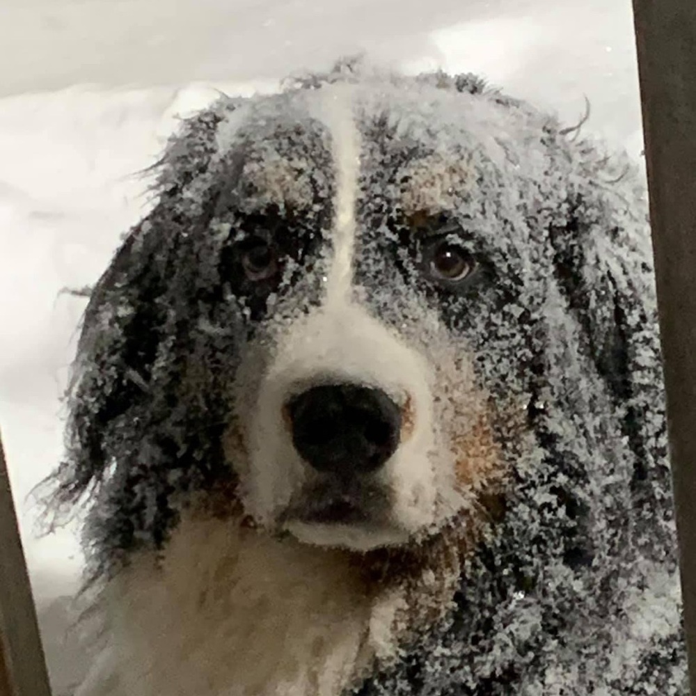 Meet your Posher, Wanda